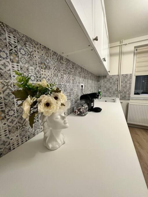 Ultracentral Luxury Apartament Timişoara Exterior foto